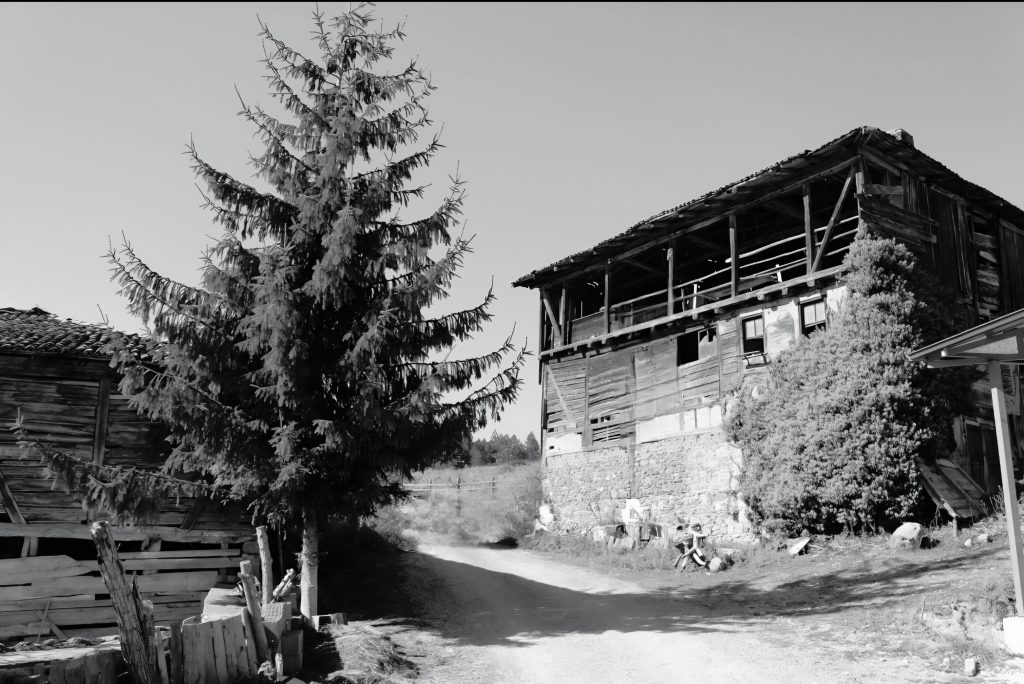 Osmanlı Döneminde Kastamonu’da At Yetiştiriciliği